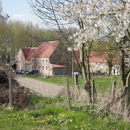 De Verborgen Parel B&B 보르글룬 외부 사진