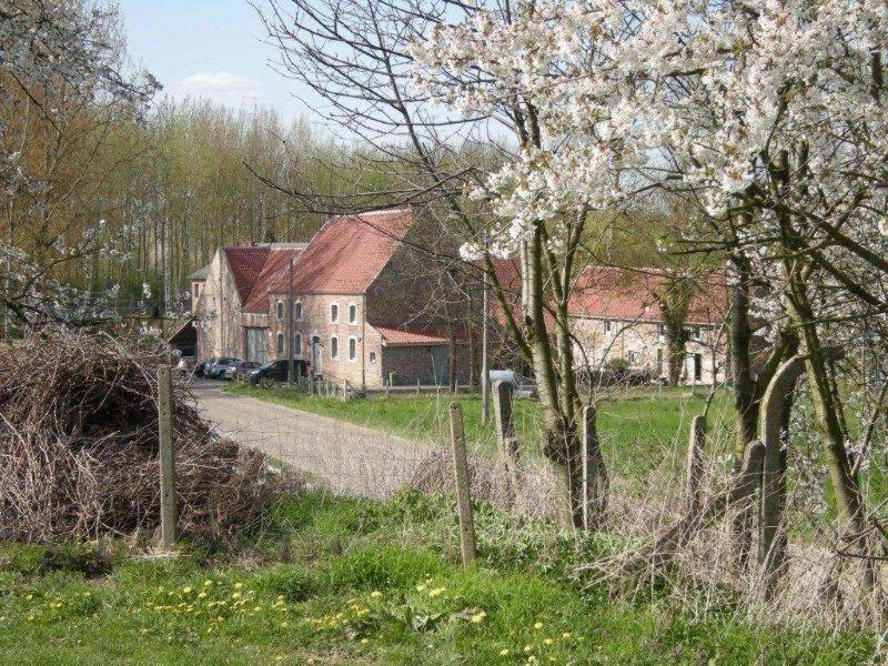 De Verborgen Parel B&B 보르글룬 외부 사진