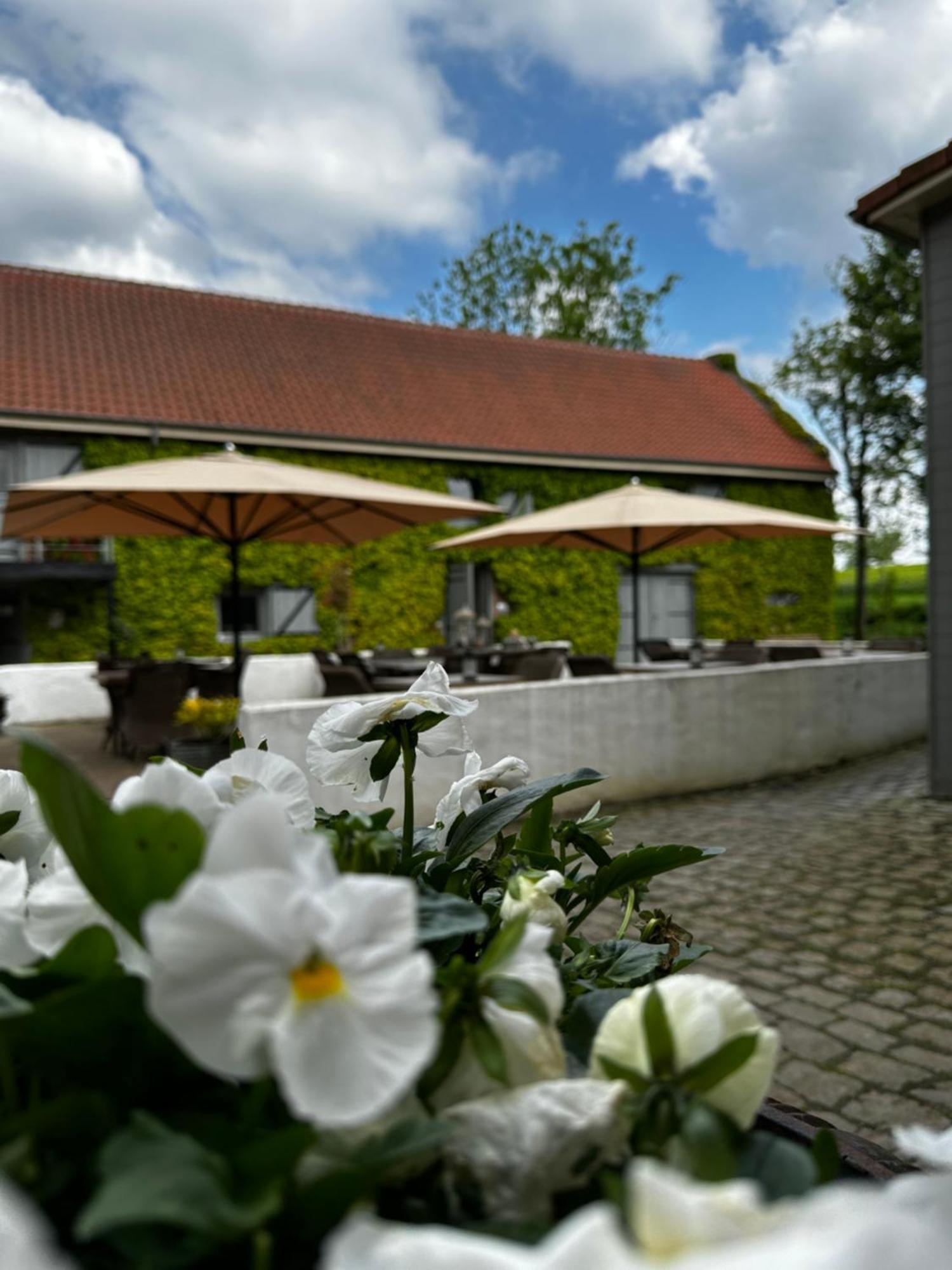 De Verborgen Parel B&B 보르글룬 외부 사진